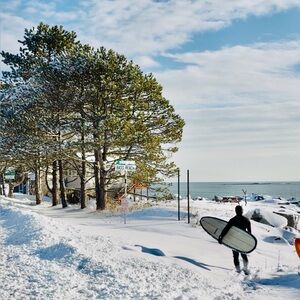 Meet your Posher, Frank